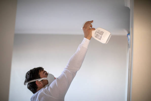 Best Attic Mold Removal  in Cold Spring, KY